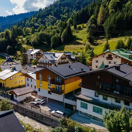 Appartement Emma 3 Dienten am Hochkönig